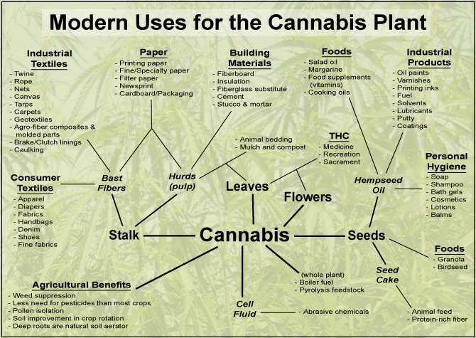 Modern Day Uses for the Cannabis Plant